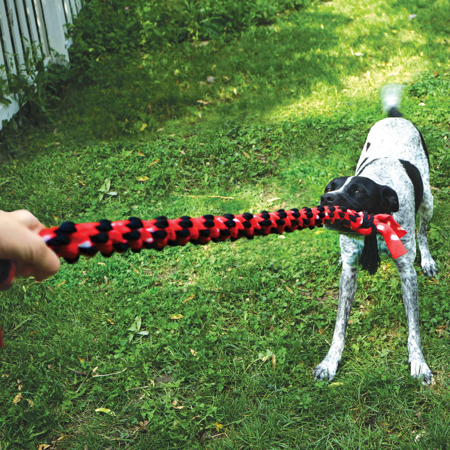 KONG Signature Rope Double Tug