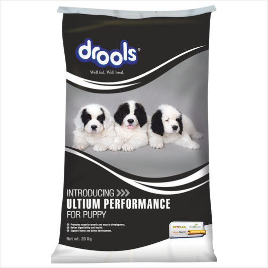 Drools Ultium Puppy | Dry Dog Food