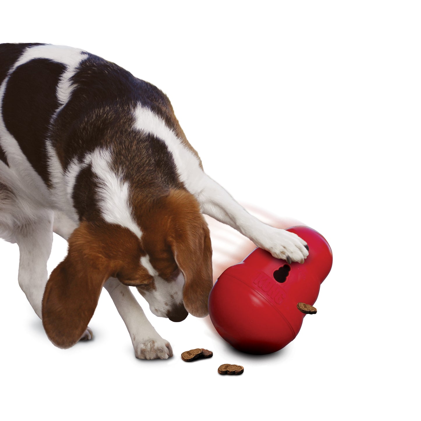 KONG Wobbler