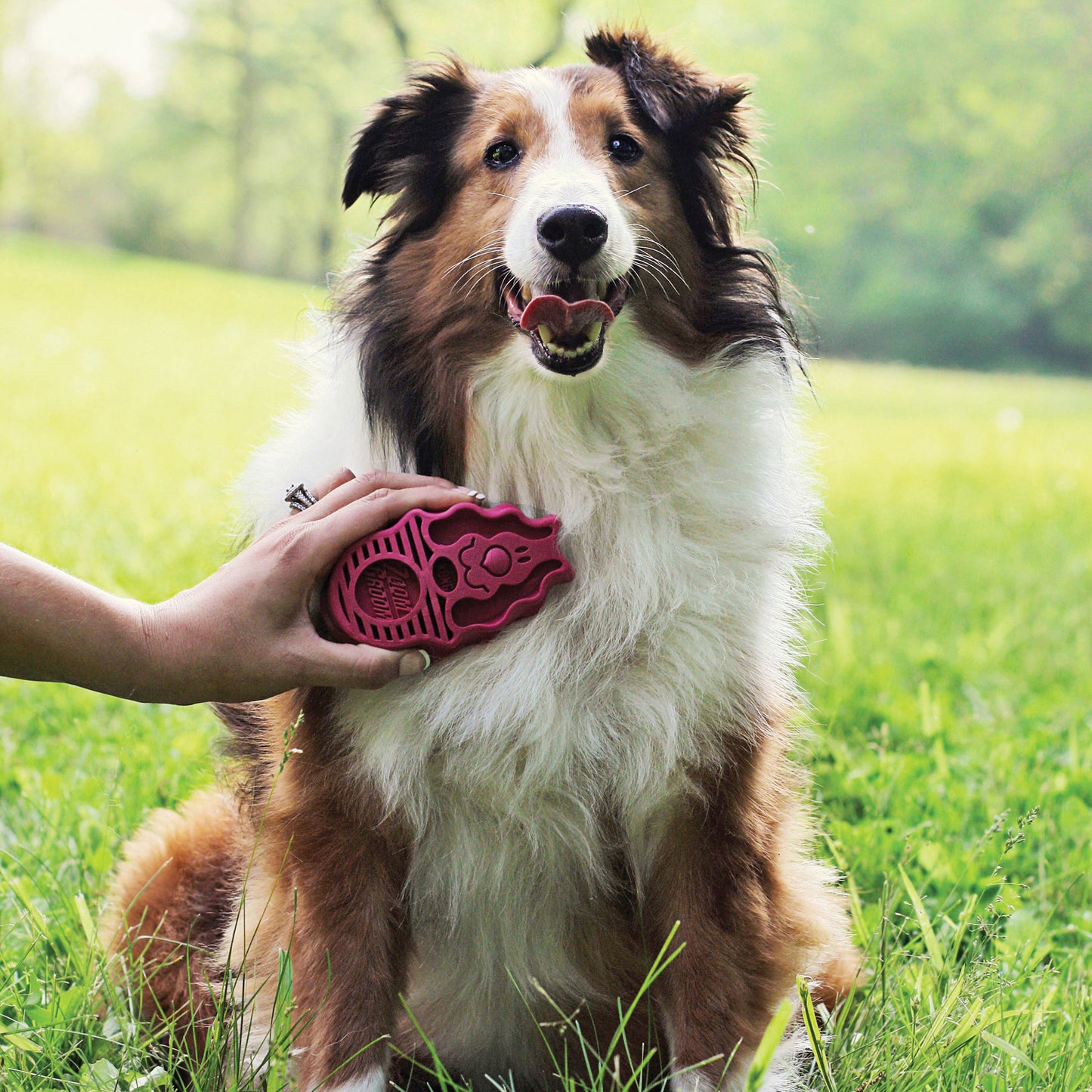 KONG ZoomGroom Brush