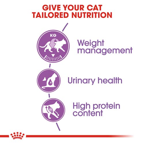 Royal Canin Sterilised 37 | Dry Cat Food