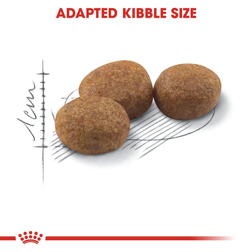 Royal Canin Sterilised 37 | Dry Cat Food