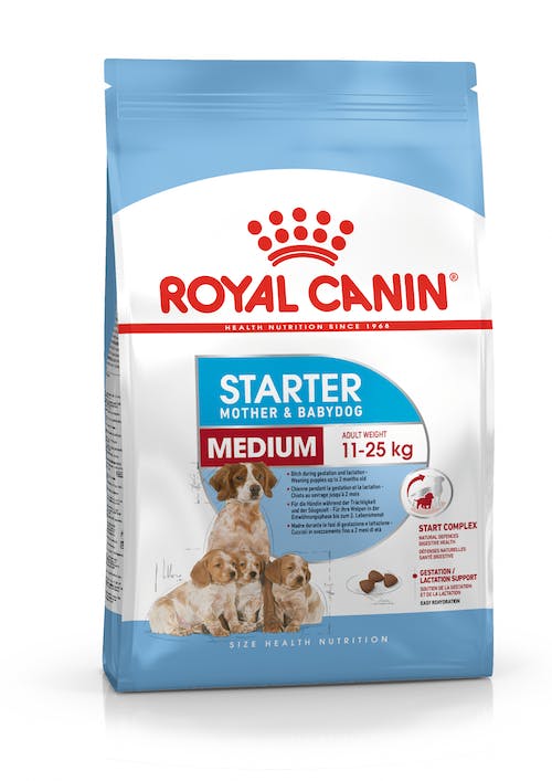 Royal Canin Medium Starter | Dry Dog Food