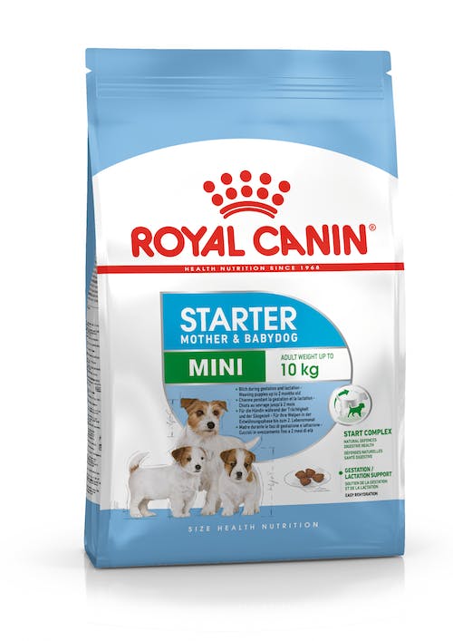 Royal Canin Mini Starter | Dry Dog Food