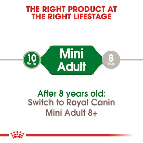 Royal Canin Mini Adult | Dry Dog Food