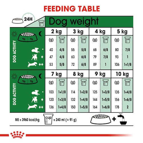 Royal Canin Mini Adult | Dry Dog Food