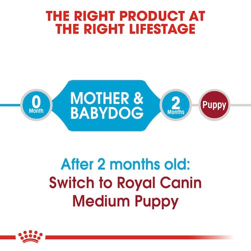 Royal Canin Medium Starter | Dry Dog Food
