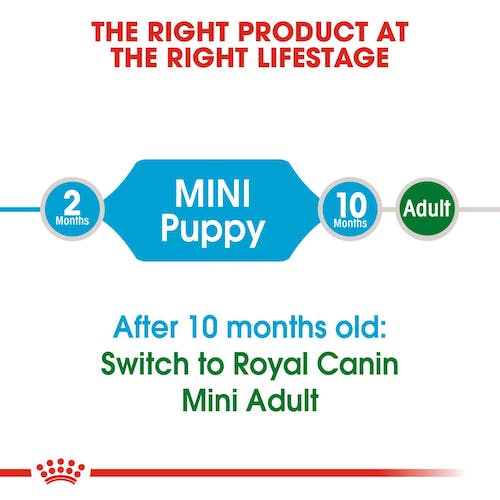 Royal Canin Mini Puppy | Dry Dog Food