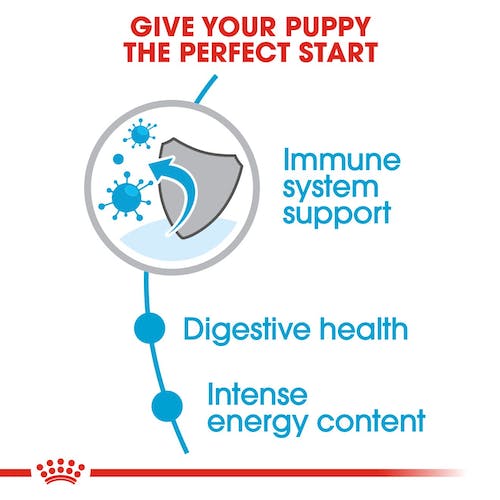 Royal Canin Mini Puppy | Dry Dog Food