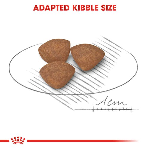 Royal Canin Mini Puppy | Dry Dog Food
