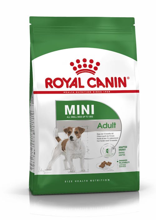 Royal Canin Mini Adult | Dry Dog Food