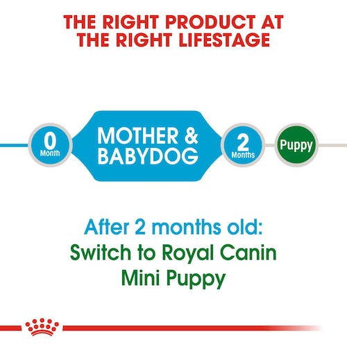 Royal Canin Mini Starter | Dry Dog Food