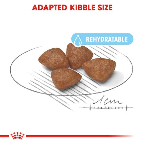 Royal Canin Mini Starter | Dry Dog Food