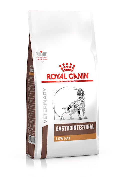 Royal Canin Gastrointestinal Low Fat | Dry Dog Food