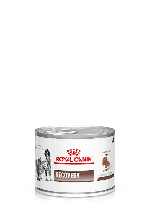 Royal Canin Recovery Gravy | Wet Dog & Cat Food