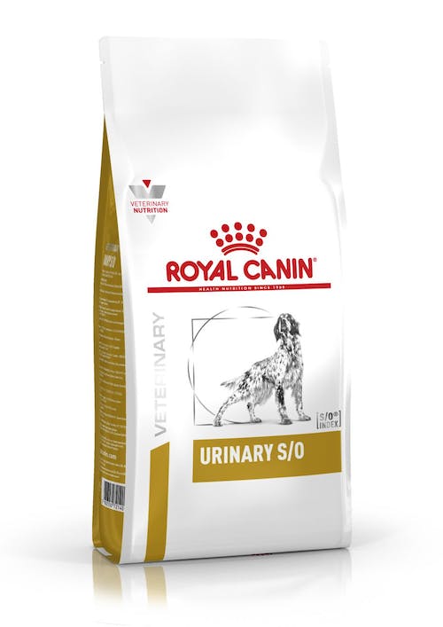 Royal Canin Urinary S/O Dog | Dry Dog Food